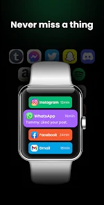 Watch Sync App - BT Notifier screenshot