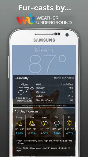 Weather BUB screenshot