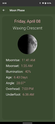 What The Forecast screenshot