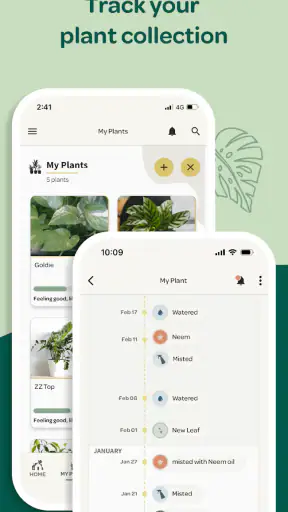 Willow screenshot