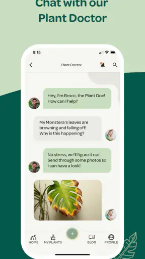 Willow screenshot