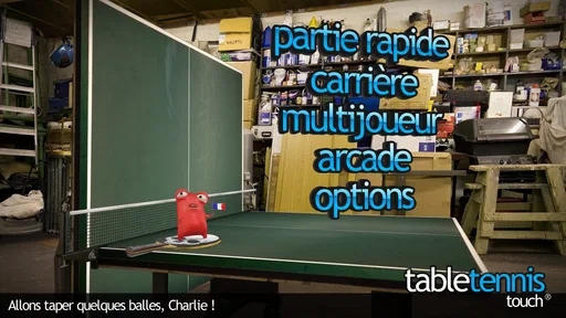 Table Tennis Touch screenshot