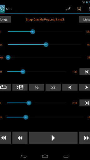 Amazing Slow Downer screenshot