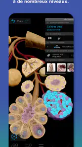 Atlas d'anatomie humaine 2026 screenshot