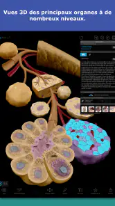 Atlas d'anatomie humaine 2026 screenshot