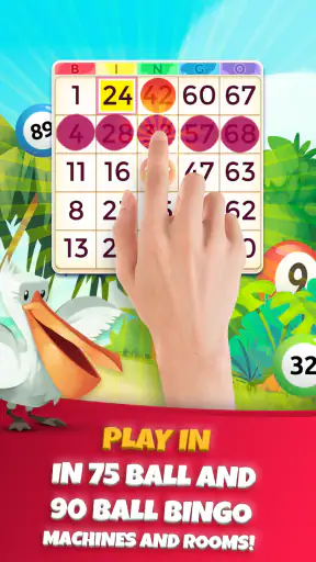 Bingo Praia: Tombola Française screenshot