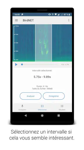 BirdNET screenshot