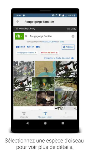 BirdNET screenshot