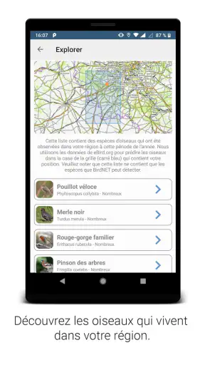 BirdNET screenshot