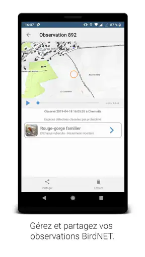 BirdNET screenshot
