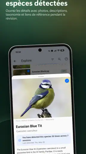 BirdNET Live screenshot