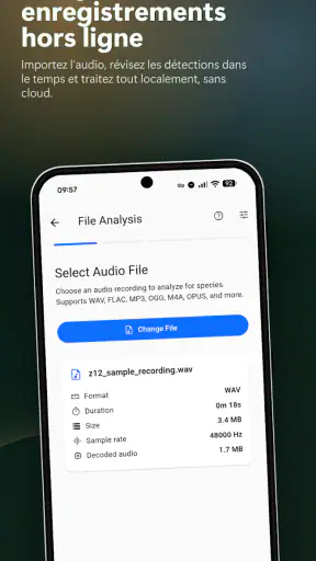 BirdNET Live screenshot