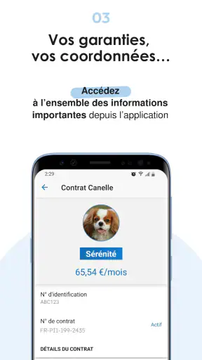 Bulle Bleue screenshot