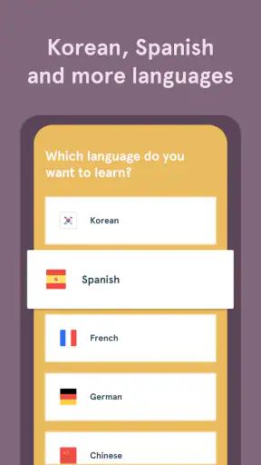 Bunpo: Apprendre les langues screenshot
