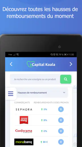 Capital Koala screenshot