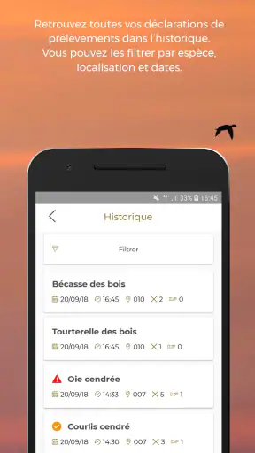 ChassAdapt screenshot