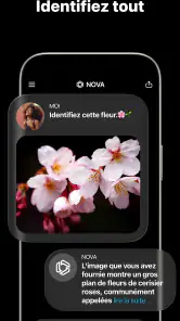 Chatbot IA français - Nova screenshot