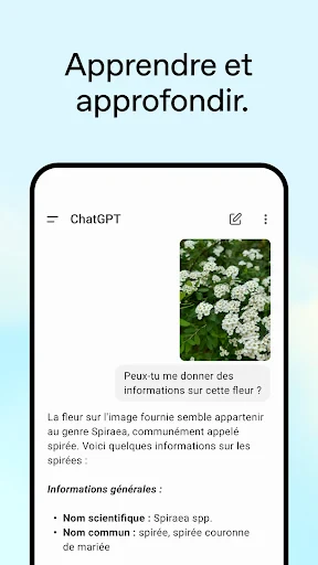 ChatGPT screenshot