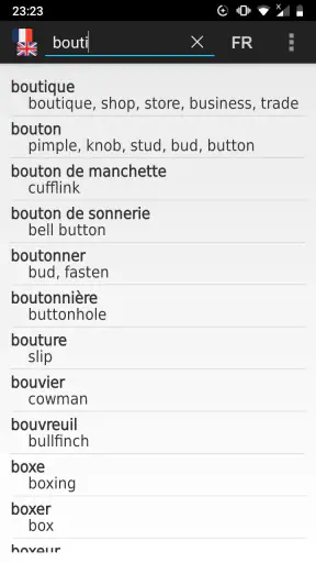 Dictionnaire Anglais-Français screenshot