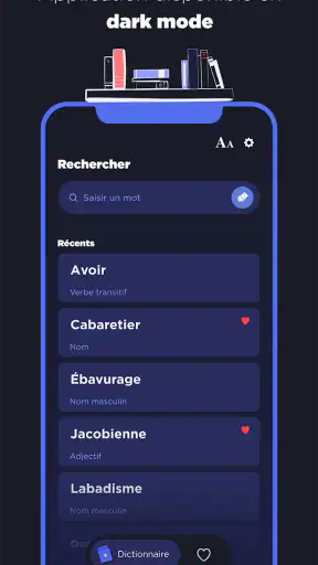 Dictionnaire Larousse français screenshot