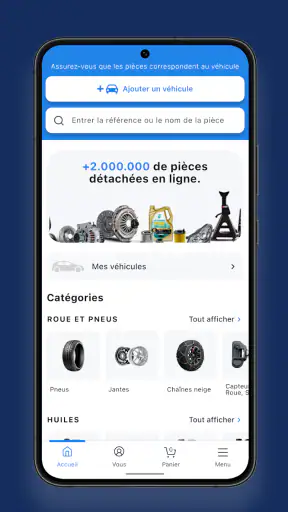 DISTRIAUTO screenshot