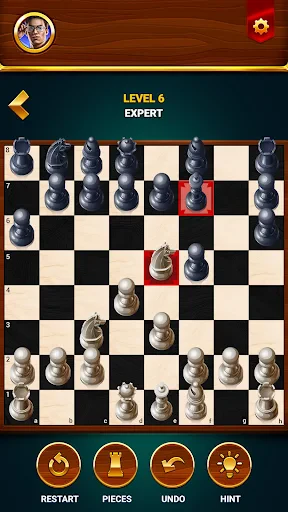 Échecs - Jeu Hors Ligne screenshot