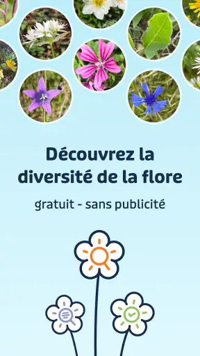 Flora Incognita screenshot
