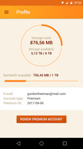 Gestionnaire Rapidgator.net screenshot