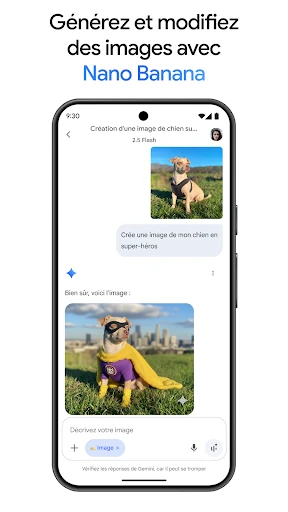 Google Gemini screenshot