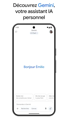 Google Gemini screenshot
