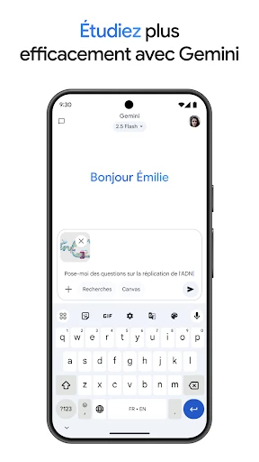 Google Gemini screenshot