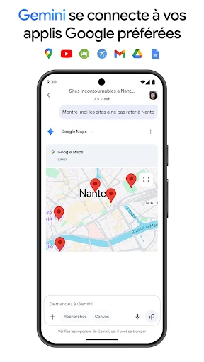 Google Gemini screenshot