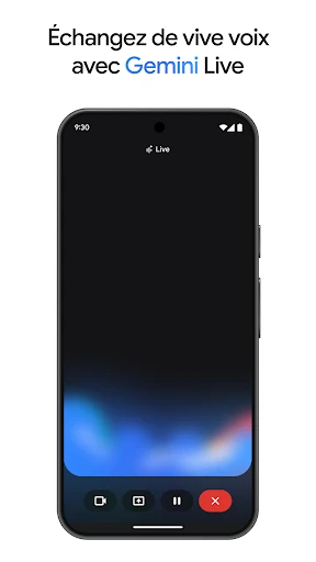 Google Gemini screenshot
