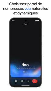 Google Gemini screenshot