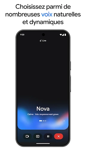 Google Gemini screenshot