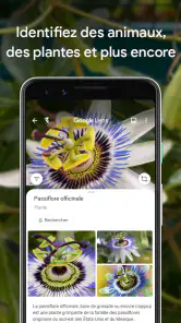 Google Lens screenshot