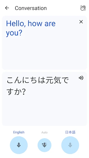 Google Traduction screenshot