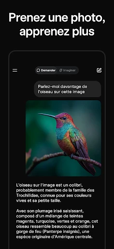 Grok - Assistant IA screenshot