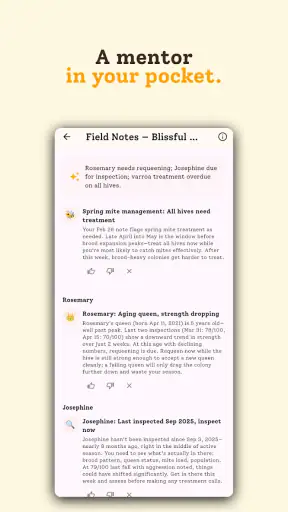 HiveBloom screenshot