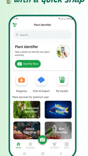 Identifiant de plante screenshot