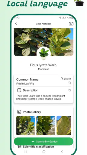 Identifiant de plante screenshot