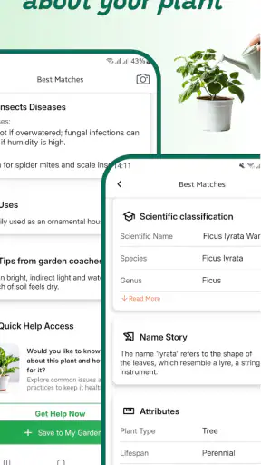 Identifiant de plante screenshot