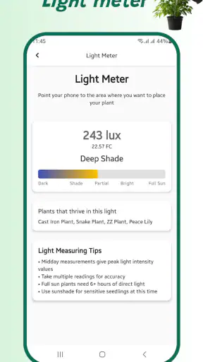 Identifiant de plante screenshot