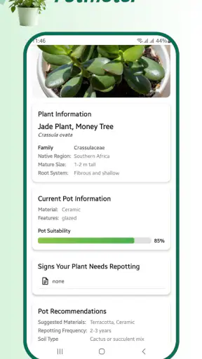 Identifiant de plante screenshot