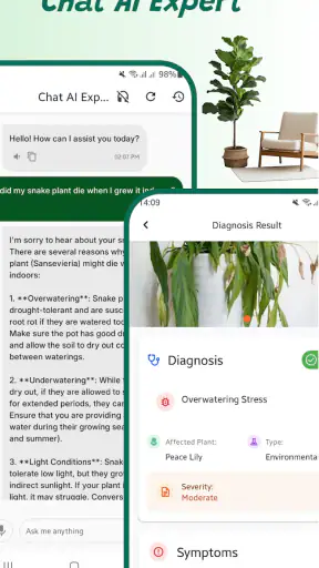 Identifiant de plante screenshot