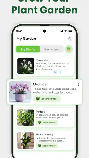 Identificateur de plantes screenshot