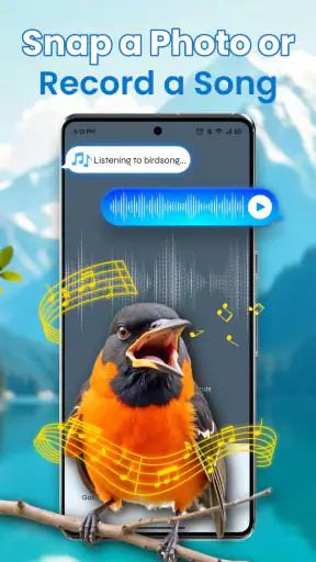Identification des oiseaux screenshot