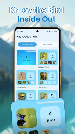 Identification des oiseaux screenshot