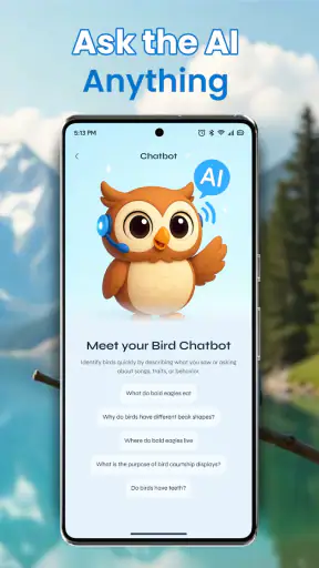 Identification des oiseaux screenshot