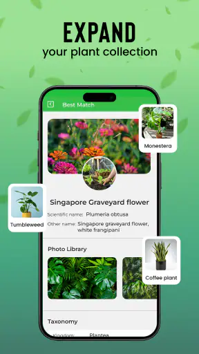 Identification des plantes screenshot